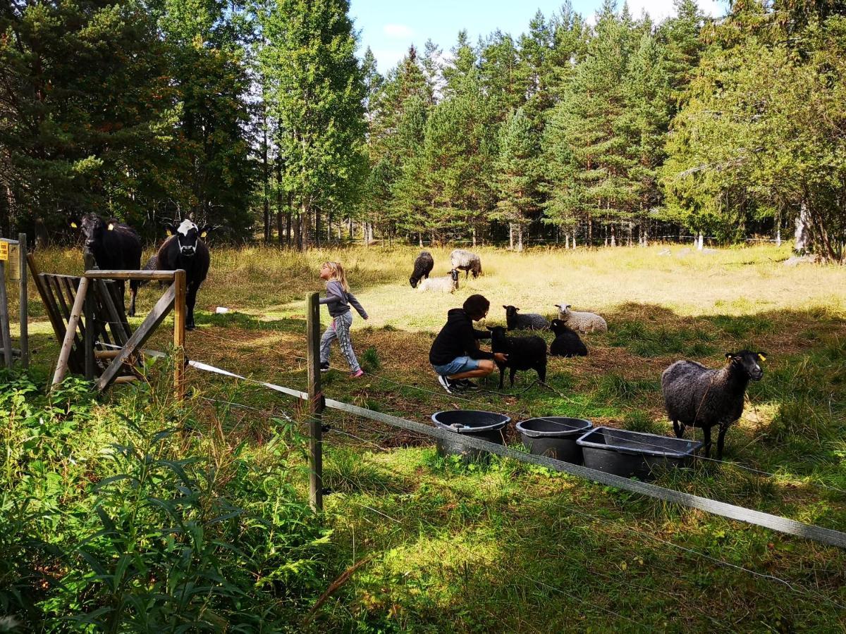 Trysunda Vandrarhem & Skaergardscafe エクステリア 写真